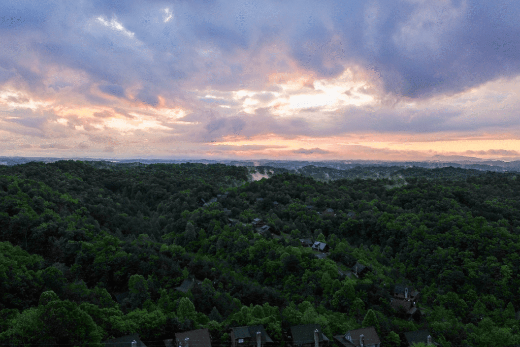 Hazy Bear drone forest and rooftops Adalyn shot